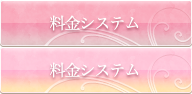 料金システム