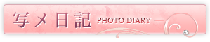 写メ日記